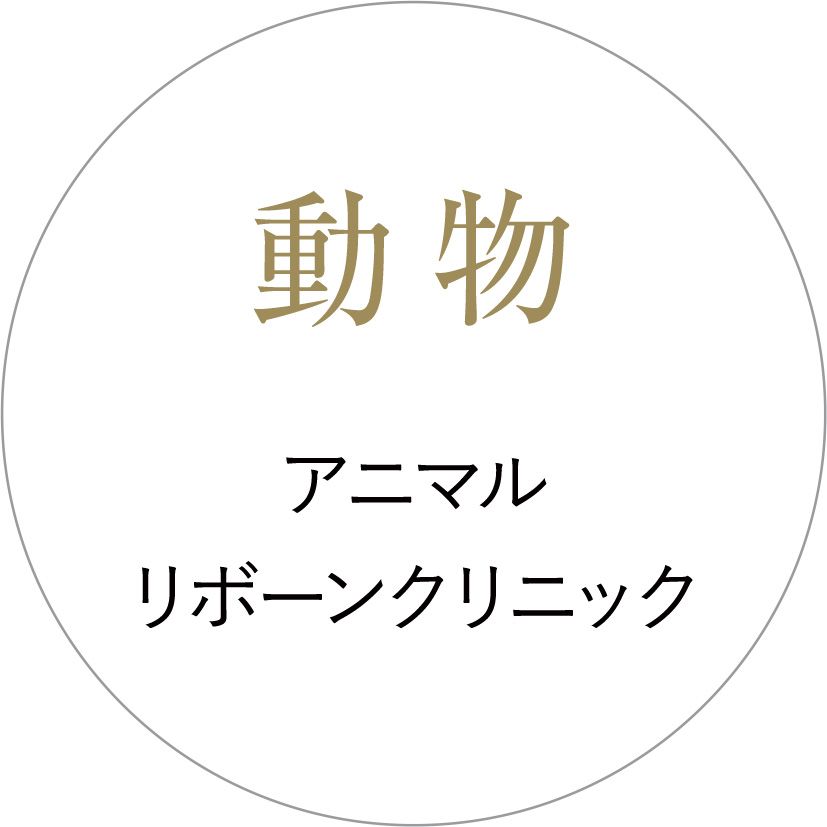 動物